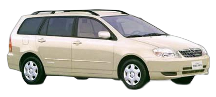 Corolla Fielder
