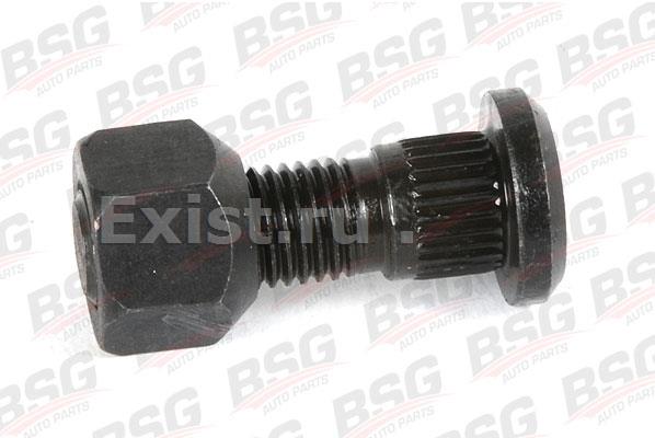 BSG BSG 30-230-009