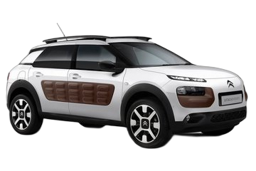 C4 Cactus
