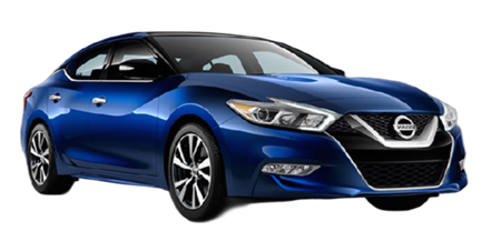 Maxima VII