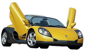 Sport Spider
