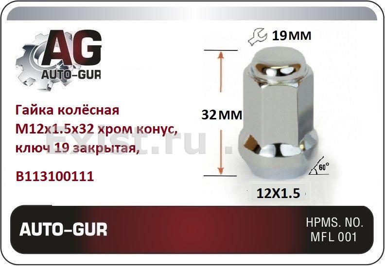 Auto-gur B113100111