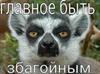 CTR CBH0-16